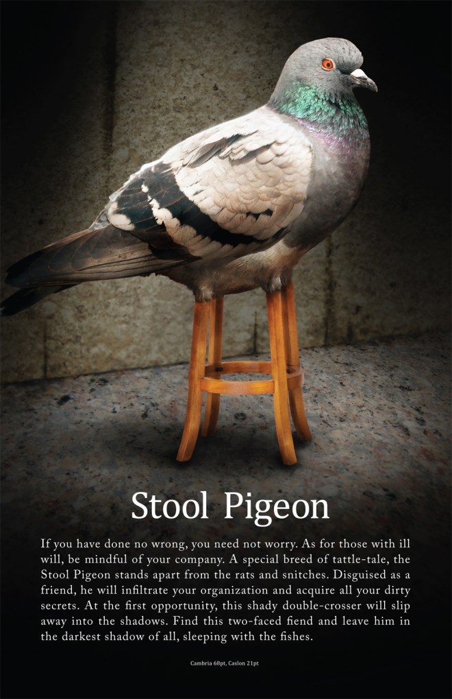 stool-pigeon1