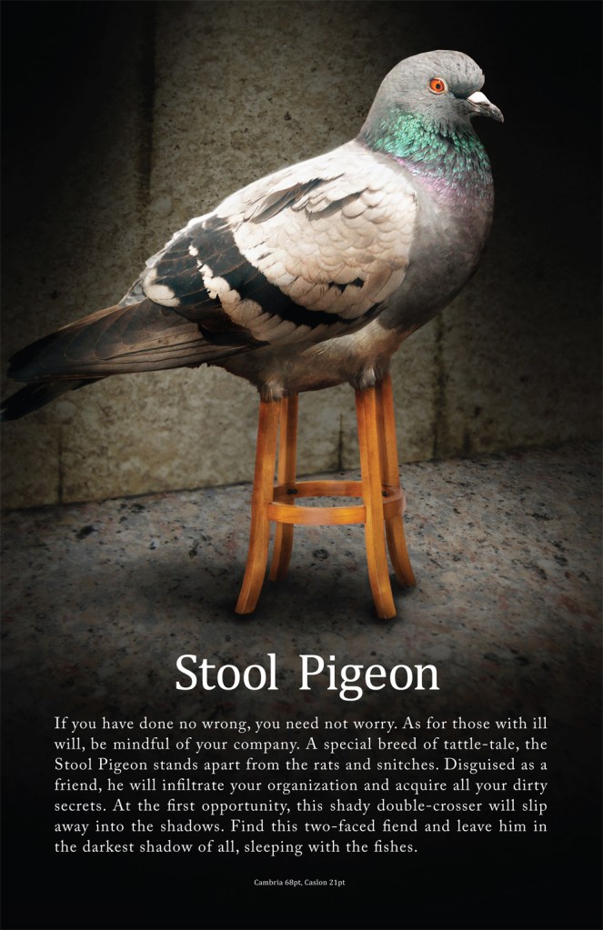 stool-pigeon1