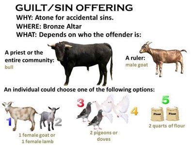 guilt-or-sin-offering