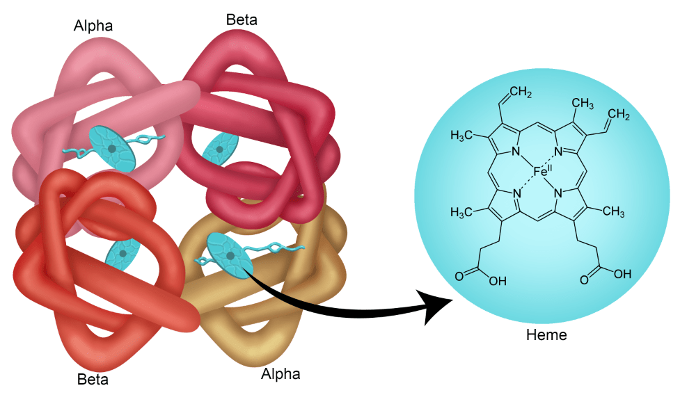 This image has an empty alt attribute; its file name is screenshot-2025-11-07-at-09-45-11-edtech-books.png